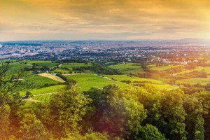 Die schöne Umgebung Wiens bietet hohe Wohnqualität