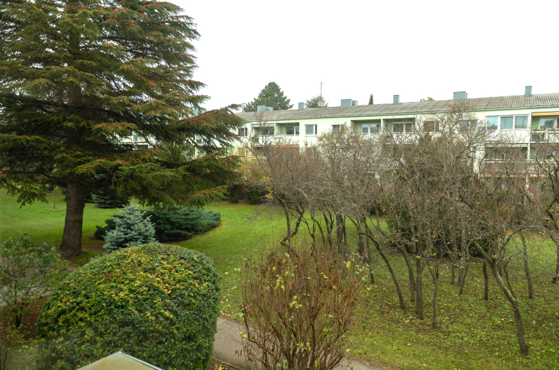 Ruhige, freundliche 3-Zimmer Wohnung in Wiener Neudorf /  / 2351 Wiener Neudorf / Bild 5