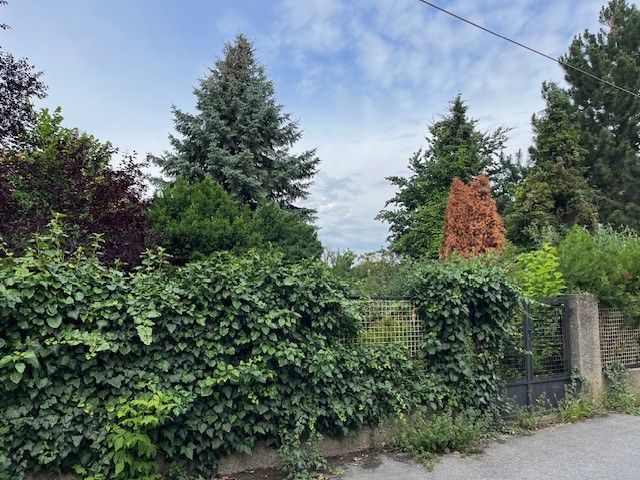 Grundstck mit zwei Abrissobjekten /  / 1210 Wien / Bild 5