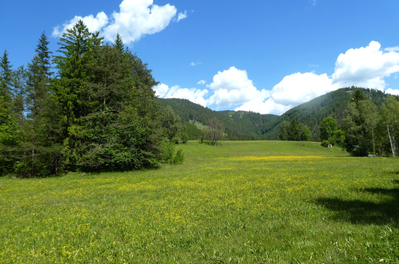 Natur pur im Schneebergland                                     15.000 m2 Eigengrund mit ca. 3.500 m2 Bauland