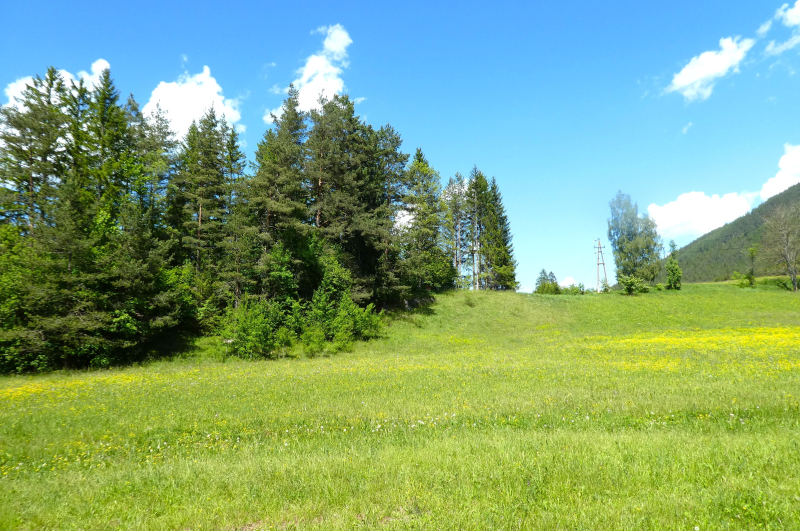 Natur pur im Schneebergland                                     15.000 m2 Eigengrund mit ca. 3.500 m2 Bauland /  / 2663 Rohr im Gebirge / Bild 3