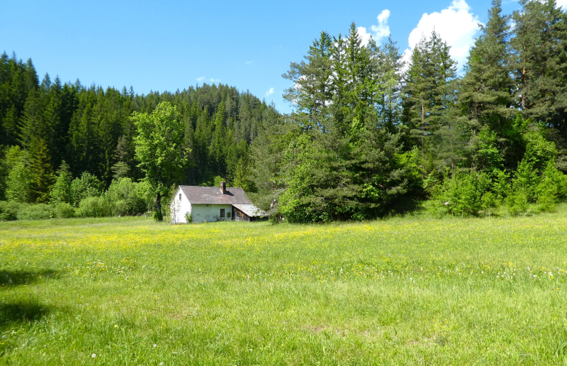Natur pur im Schneebergland                                     15.000 m2 Eigengrund mit ca. 3.500 m2 Bauland /  / 2663 Rohr im Gebirge / Bild 5