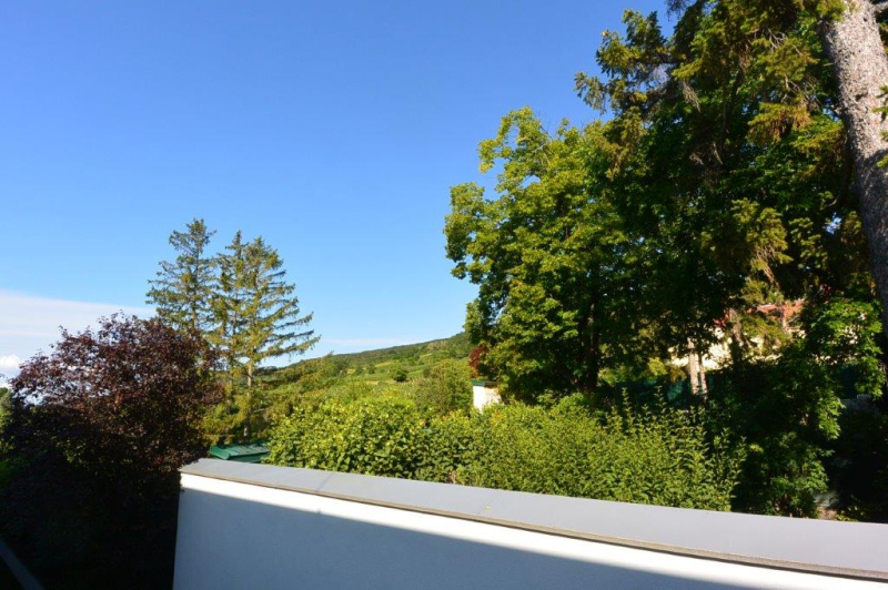 2 Zimmerwohnung inkl. groen Balkon mit Ausblick in die Weingrten von Gumpoldskirchen!