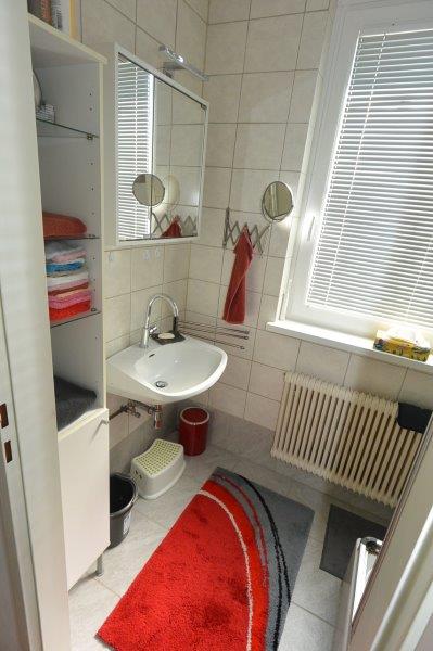 Ruhige und gemtliche 1 Zimmer Wohnung in Tribuswinkel!  /  / 2512 Tribuswinkel / Bild 9