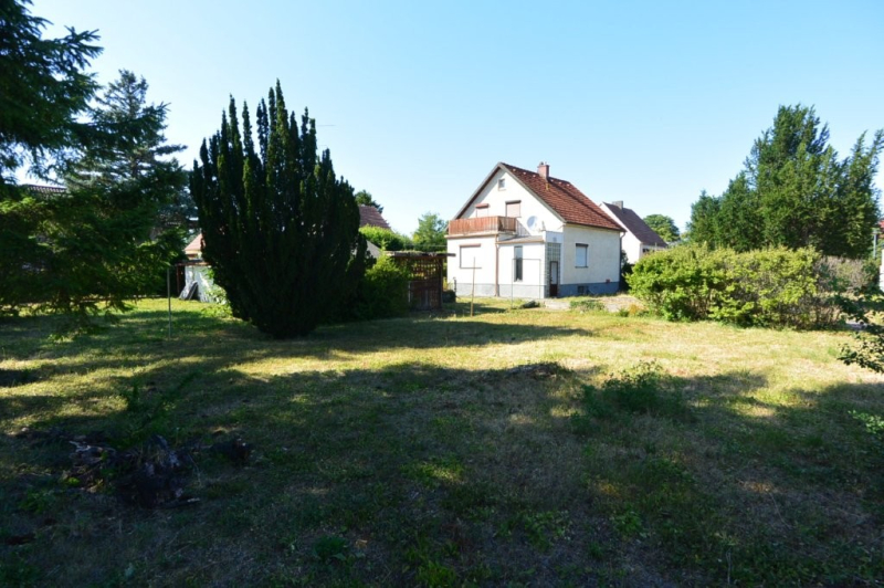 Schnes groes Grundstck mit 1030 m inkl. sanierungsbedrftigen Einfamilienhaus! /  / 2483 Weigelsdorf / Bild 1