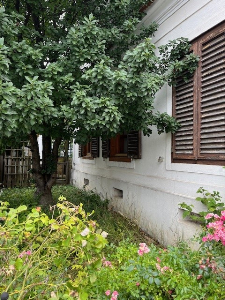 Idyll im Grnen /  / 0 Kohfidisch / Bild 6