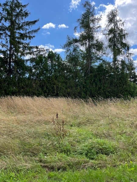 Eckgrundstck, Bauland Wohnen und Bauland Agrar