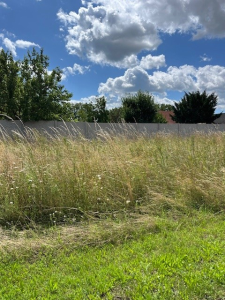Eckgrundstck, Bauland Wohnen und Bauland Agrar /  / 2263 Drnkrut / Bild 4
