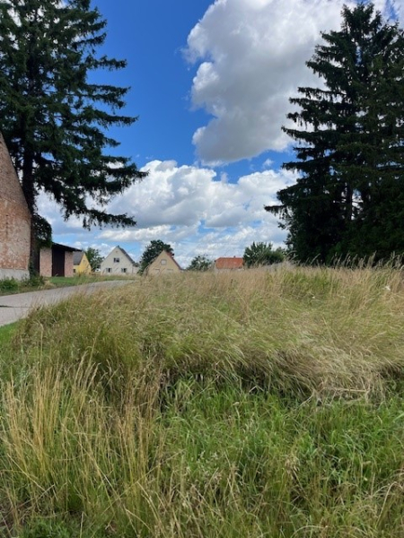 Eckgrundstck, Bauland Wohnen und Bauland Agrar /  / 2263 Drnkrut / Bild 5