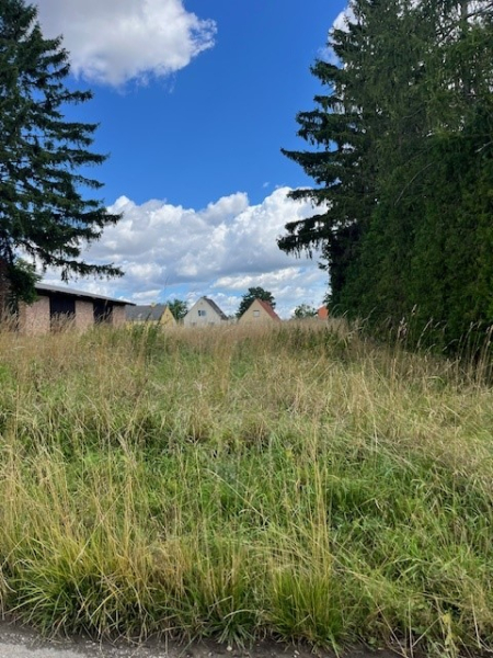 Eckgrundstck, Bauland Wohnen und Bauland Agrar /  / 2263 Drnkrut / Bild 6