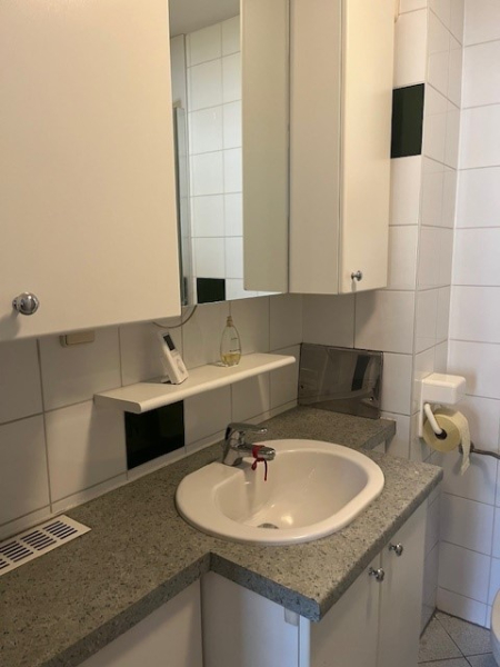 bezugsfertige 1 Zimmerwohnung /  / 1230 Wien / Bild 4