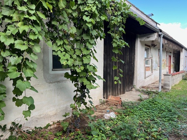 Baugrund mit Abbruchobjekt und weitere Grundstcke Grnland /  / 7435 Gnseck / Bild 6