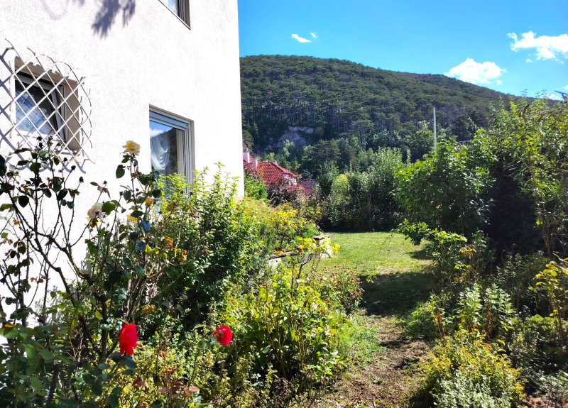 Eckreihenhaus mit 200 m2 Garten in Berndorf /  / 2560 Berndorf / Bild 7