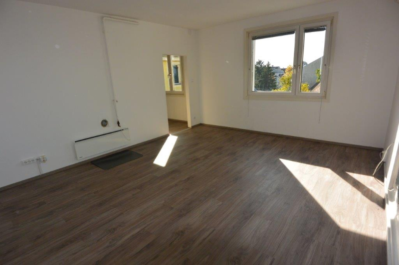 Zentral gelegenes, helles und ruhiges 1 Zimmerapartment ca. 45 m in Fischamend! /  / 2401 Fischament / Bild 1