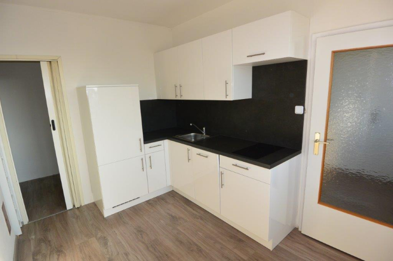 Zentral gelegenes, helles und ruhiges 1 Zimmerapartment ca. 45 m in Fischamend! /  / 2401 Fischament / Bild 3