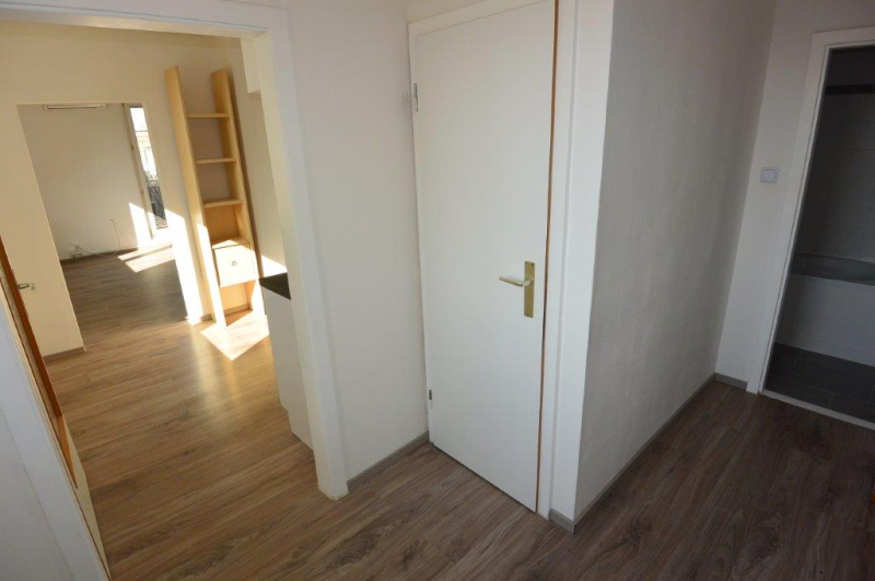 Zentral gelegenes, helles und ruhiges 1 Zimmerapartment ca. 45 m in Fischamend! /  / 2401 Fischament / Bild 4