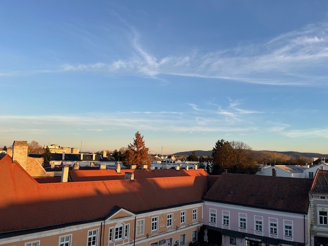 Eigentumswohnung auf 2 Ebenen mit 2 Zimmern, Terrasse und Loggia /  / 2000 STockerau / Bild 9