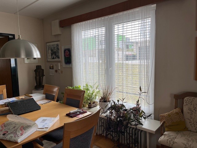 Renovierungsbedürftiger unterkellerter Bungalow in Ruhelage / / 3382 Loosdorf / Bild 6