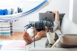 Rechtsfragen Haustier in Wohnungen: Katze auf Couch in Immobilie