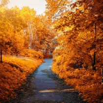 Wandern Im Herbst